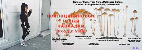 каннабис Абинск