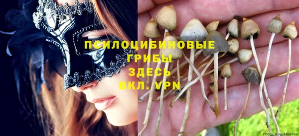 мяу мяу мука Усолье-Сибирское