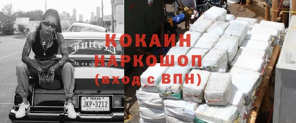 соль ск Абаза