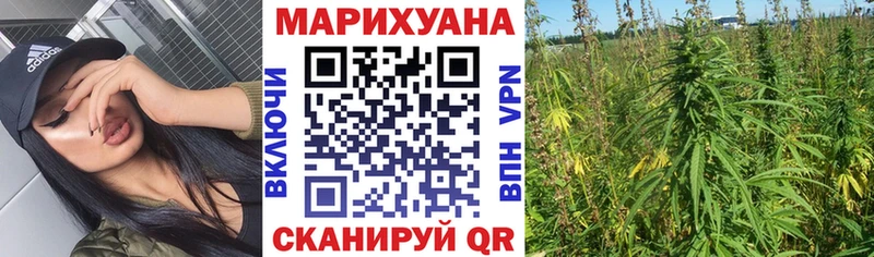 наркота  Звенигород  Каннабис SATIVA & INDICA 
